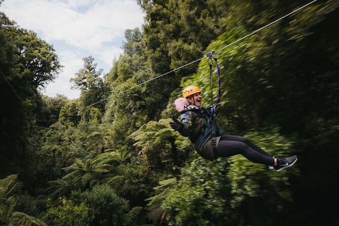 Rotorua Canopy Tours: 2.5Hour Native Forest Zipline Adventure - Getting started at Fairy Springs Road