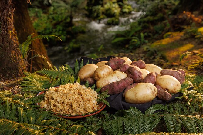 Rotorua Cultural & Geothermal Small Group Tour From Auckland - Is $294.77 a fair price?