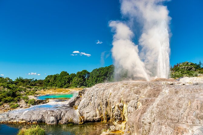 Rotorua Cultural Small Group Afternoon Tour - Key details before you book
