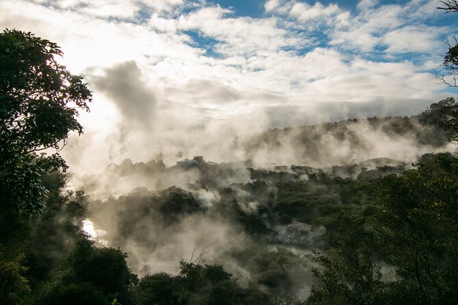 Rotorua Cultural Small Group Afternoon Tour - Why this afternoon tour works well in Rotorua