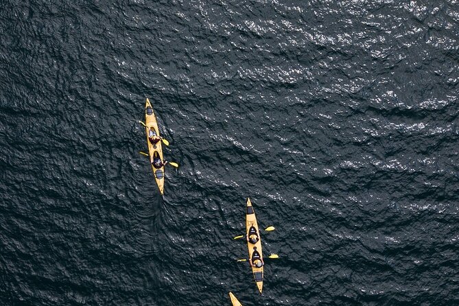 Rotorua: Daytime Scenic Lake Rotoiti Kayak Tour - Who will enjoy this Lake Rotoiti outing