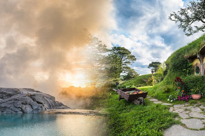 Rotorua Discovery Te Puia Tour - Seeing a kiwi at Te Puia