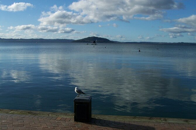 Rotorua Discovery Te Puia Tour - How the guides shape the experience