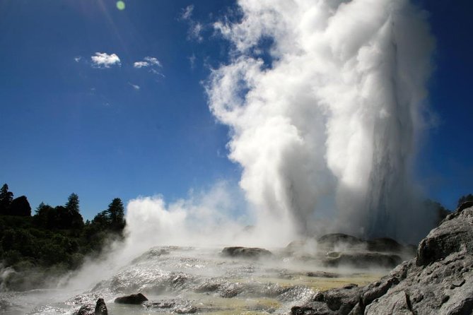 Rotorua Discovery Te Puia Tour - Te Puke and New Zealand’s kiwi-growing country