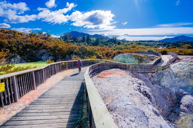 Rotorua Eco Cultural full day tour (Wai o Tapu, Waimangu,Te puia) - Who should book this day out?