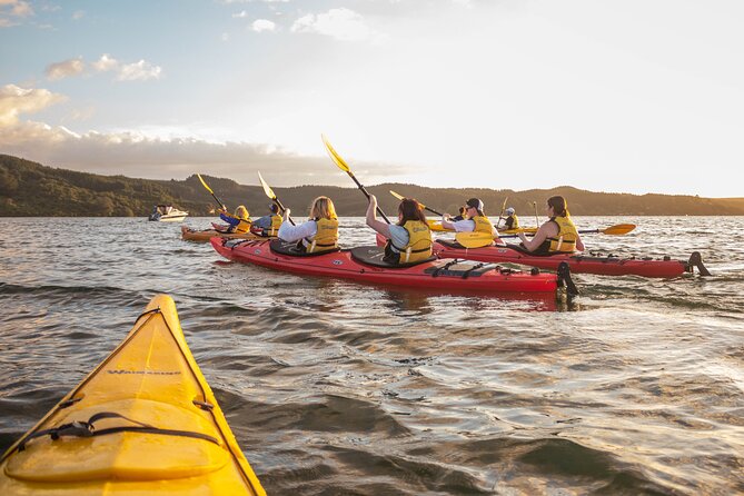 Rotorua: Evening Starlight Gourmet Kayak Tour Glowworms - Key points to know
