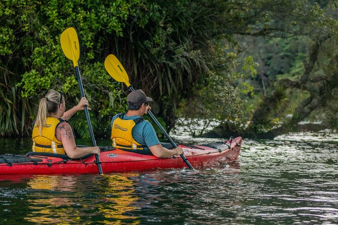 Rotorua: Evening Starlight Gourmet Kayak Tour Glowworms - BBQ dinner beside the water