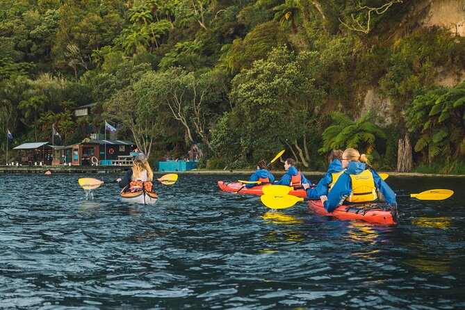 Rotorua: Evening Starlight Gourmet Kayak Tour Glowworms - Manupirua Hot Pools, reached by kayak