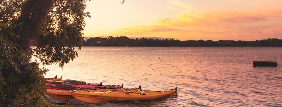 Rotorua: Evening Starlight Gourmet Kayak Tour with dinner - Key points at a glance