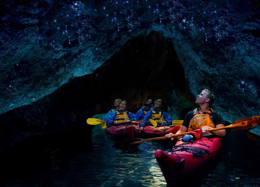 Rotorua: Evening Starlight Gourmet Kayak Tour with dinner - Booking details that matter