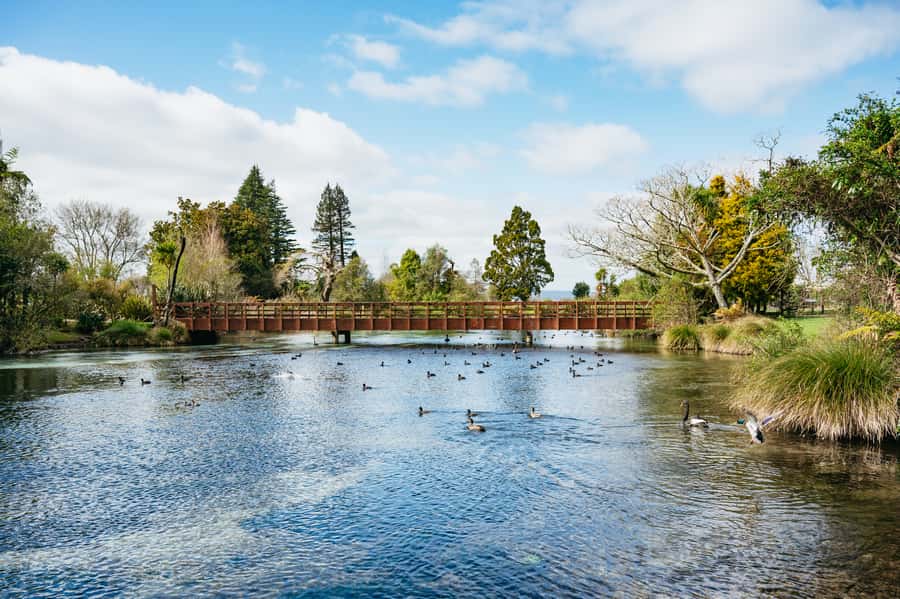Rotorua: Explore The Lakes Half-Day Morning Tour - Should you book the Explore the Lakes morning tour?