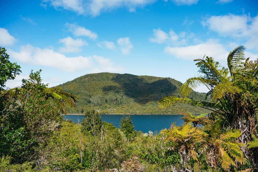 Rotorua: Explore The Lakes Half-Day Morning Tour - Okere Falls, Tutea Falls, and the Kaituna River