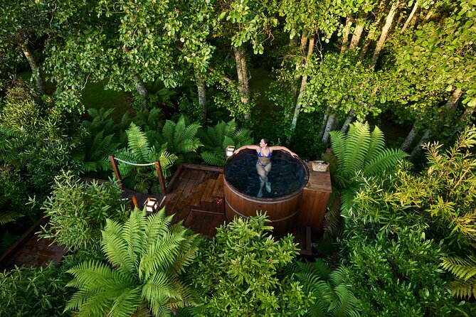 Rotorua Forest Hot Tub Soak at Secret Spot - A Forest Soak Instead Of A Geothermal Pool