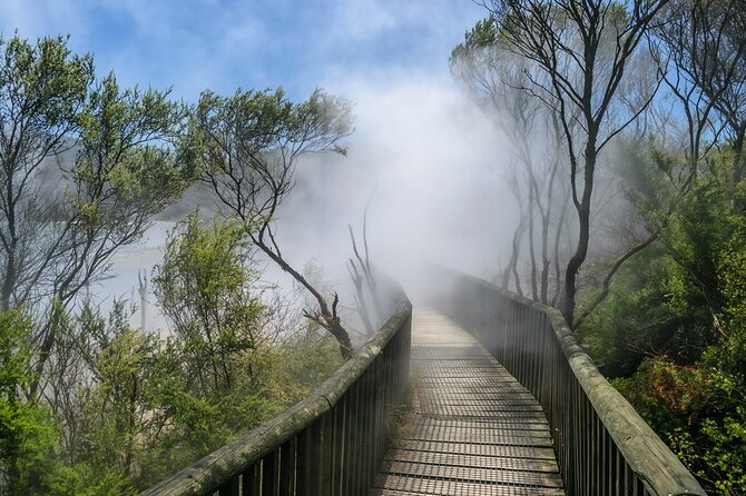 Rotorua Geothermal Living Maori Village Tour Whakarewarewa 6.5hours Tour - The drive from Tauranga to Rotorua