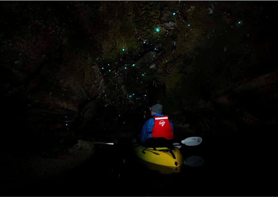 Rotorua: Glow Worm Kayak Tour - Practical details that can make or break the evening