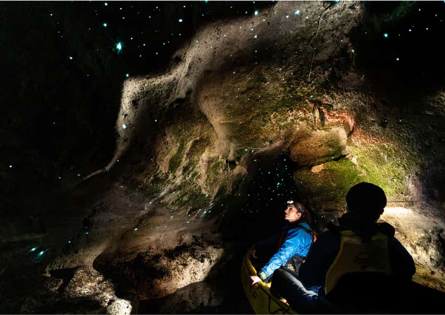Rotorua: Glow Worm Kayak Tour - From Rotorua’s iSite to the lake