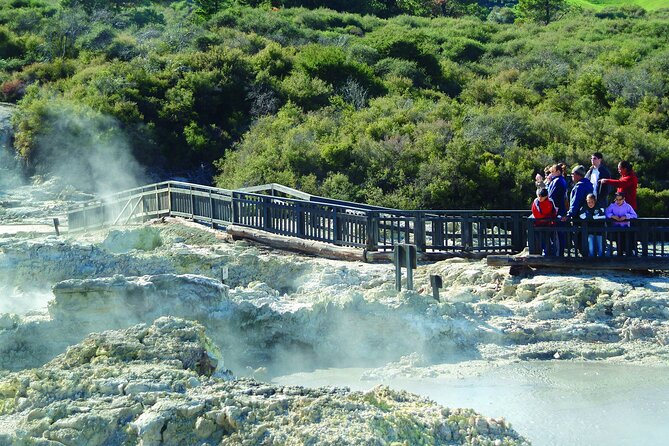 ROTORUA - Hell's Gate Geothermal Park & Mud Spa Day Trip - Is the $183.07 price fair?