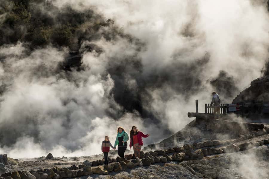 Rotorua: Hell's Gate Geothermal Walk - The active mud volcano and boiling pools