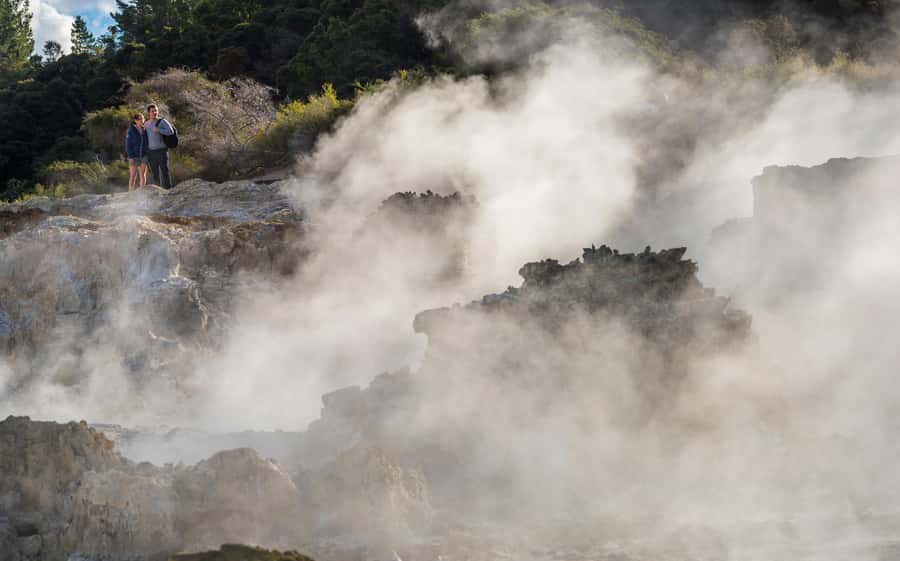 Rotorua: Hell's Gate Outdoor Mud Spa & Guided Walk - Should you book Hell’s Gate?
