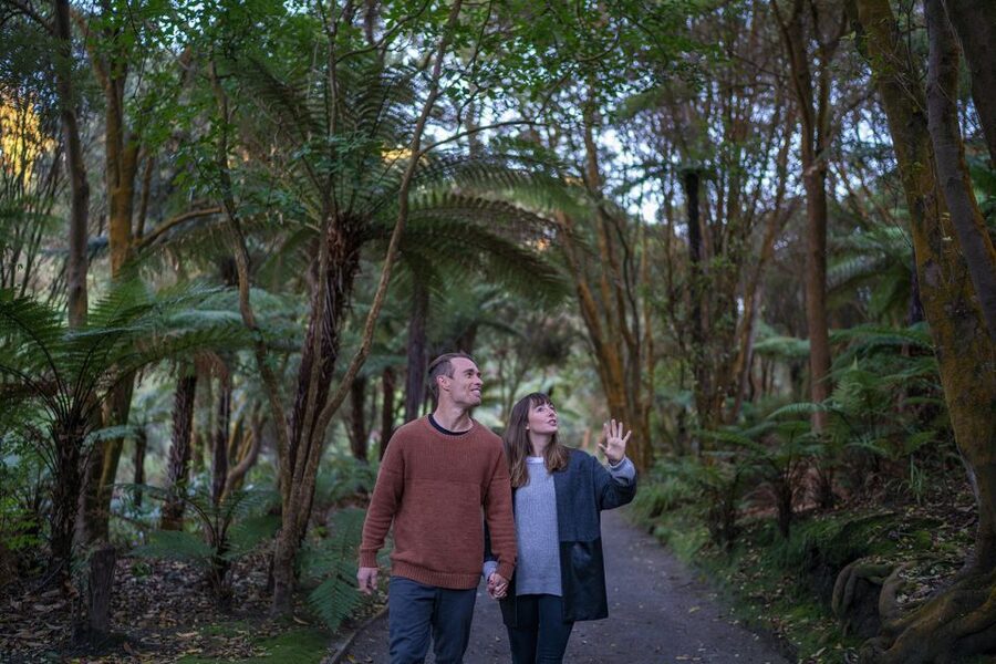 Rotorua: Hell's Gate Outdoor Mud Spa & Guided Walk - Māori carving gives the visit a cultural centre
