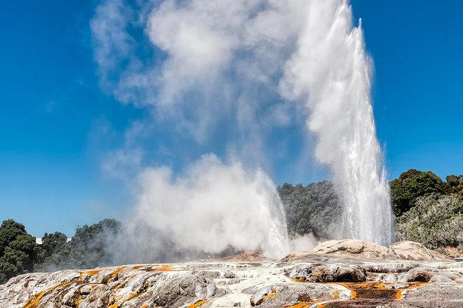 Rotorua Highlights Tour from Auckland with Optional Extras - Key points to know before booking
