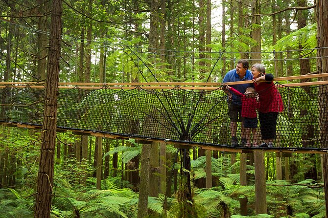 Rotorua Highlights Tour from Auckland with Optional Extras - Te Puia for Māori culture and geothermal power
