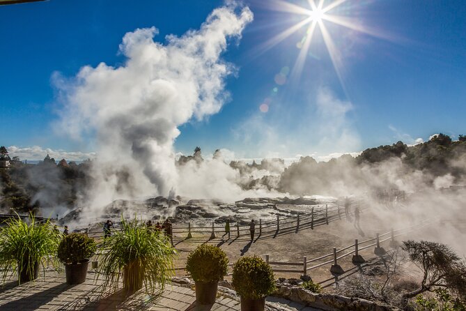 Rotorua Highlights Tour inc. Te Puia Tour, Lunch & Cultural Show - Why Te Puia makes this Auckland day trip worthwhile