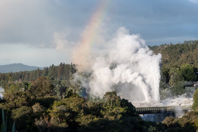 Rotorua Highlights Tour inc. Te Puia Tour, Lunch & Cultural Show - Hangi lunch: useful inclusion, not the whole reason to book