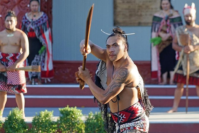 Rotorua Highlights Tour inc. Te Puia Tour, Lunch & Cultural Show - The early run south through Waikato