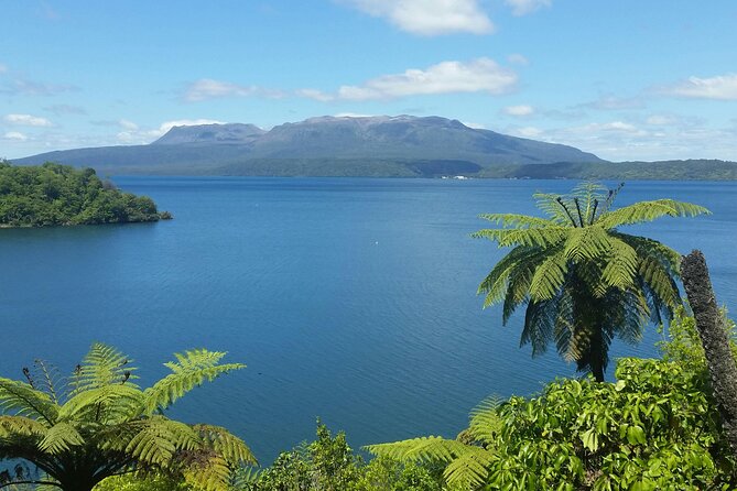 Rotorua Highlights Tour - Sulphur Point and the first signs of Rotorua’s heat