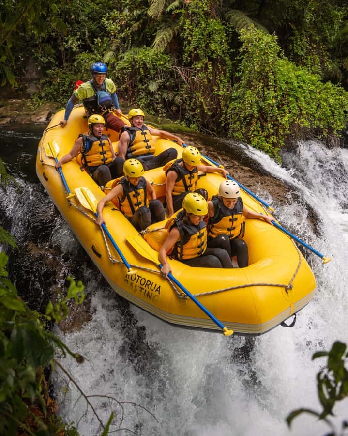 Rotorua: Kaituna River Rafting Experience - Kaituna River Rafting at a Glance