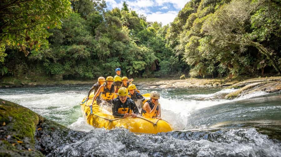 Rotorua: Kaituna River Rafting Experience - Why the Kaituna River Is Such a Good Choice