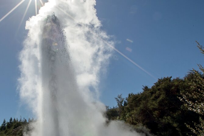 Rotorua Māori Village and Activity Combinations from Auckland - Meeting Rotorua at Whakarewarewa