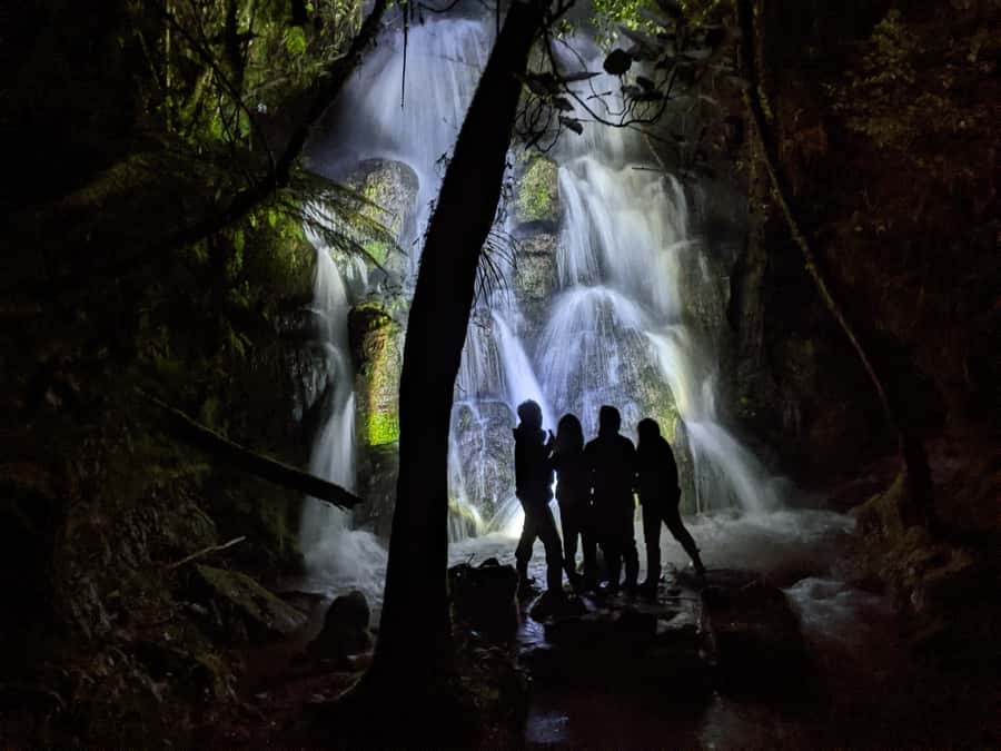 Rotorua: Nocturnal Glow-Worm Adventure Tour with a Guide - Why the darkness makes the glow worms special