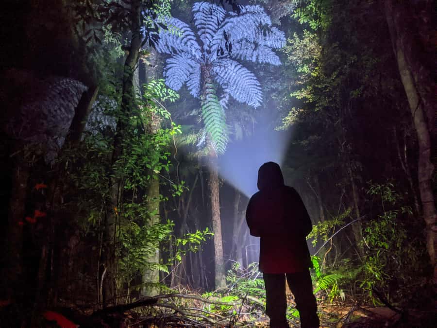 Rotorua: Nocturnal Glow-Worm Adventure Tour with a Guide - Getting kitted out before the forest walk