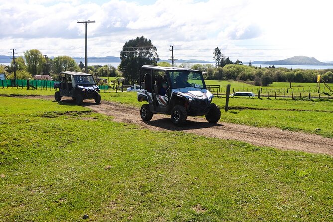 Rotorua Off-Road 4WD Buggy Adventure - A rough-road view of Lake Rotorua