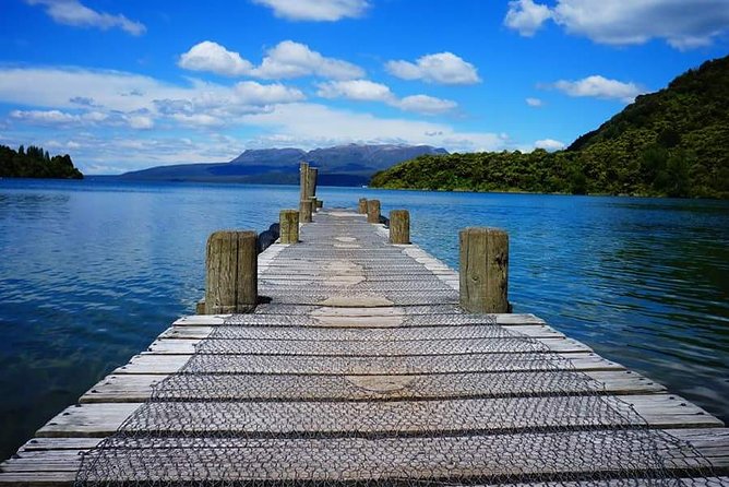 Rotorua Off-Road 4WD Buggy Adventure - Who will enjoy this most