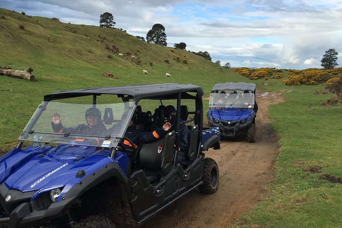 Rotorua Off-Road 4WD Buggy Adventure - Choosing between the 30-minute and 1-hour rides