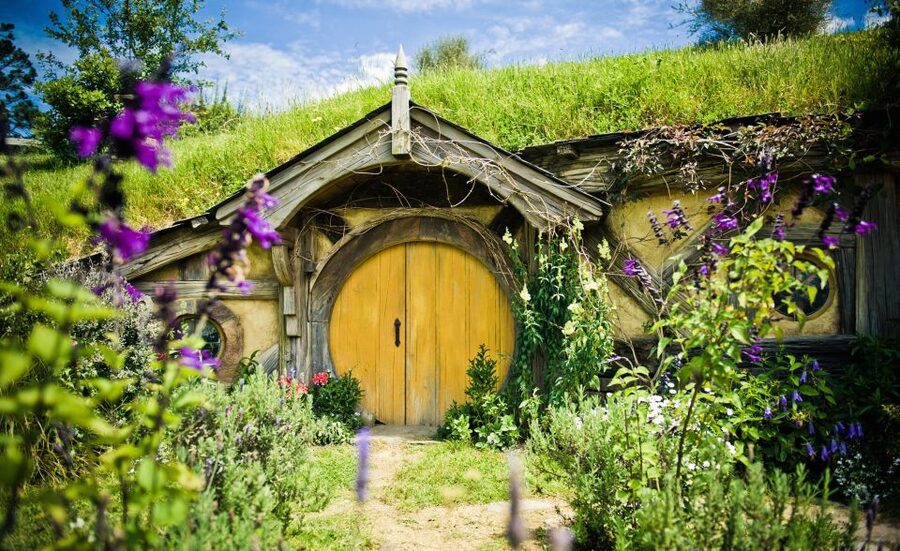 Rotorua: One-Way Trip to Auckland via Hobbiton & Waitomo - The road to Waitomo through the Waikato