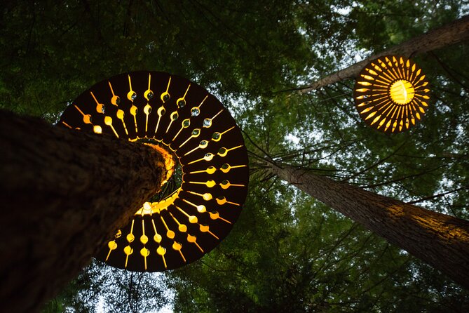 Rotorua: Redwoods Adventure 3-Hours - What the two-hour guided adventure feels like