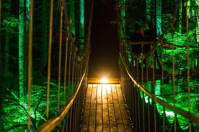 Rotorua: Redwoods Adventure 3-Hours - A 10-minute guided Glowworms eco-cave