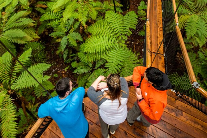 Rotorua: Redwoods Adventure 3-Hours - How to plan the three-hour package