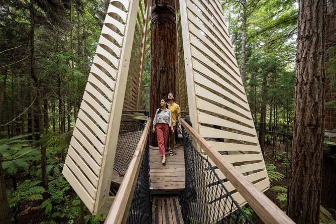 Rotorua: Redwoods Adventure 3-Hours - Is $123.49 good value?