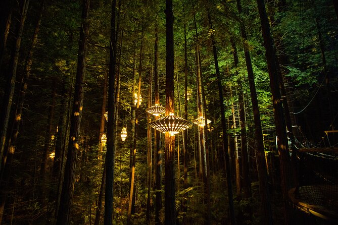 Rotorua: Redwoods Adventure 3-Hours - Daytime Treewalk: a calmer second look at the redwoods