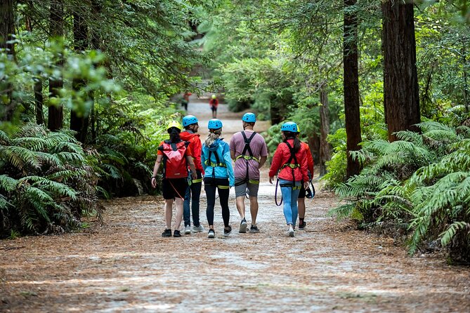 Rotorua: Redwoods Altitude High Ropes Adventure - Key points before you book