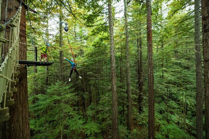 Rotorua: Redwoods Altitude High Ropes Adventure - The final jump asks for commitment