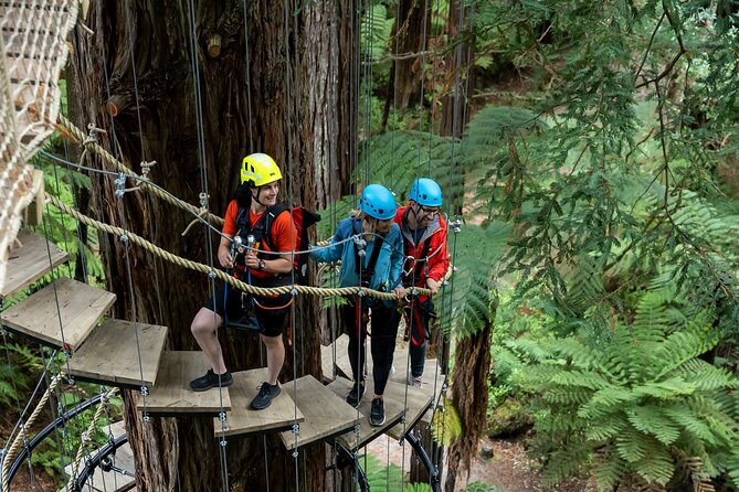 Rotorua: Redwoods Altitude High Ropes Adventure - Who will enjoy this course most?
