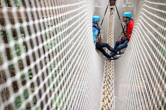 Rotorua: Redwoods Altitude High Ropes Adventure - The first bridges test your nerve