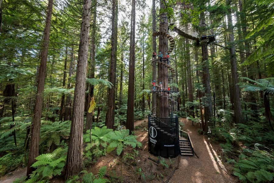 Rotorua: Redwoods Altitude, Nighttime Fast Pass, & Treewalk - Why the small group makes a difference