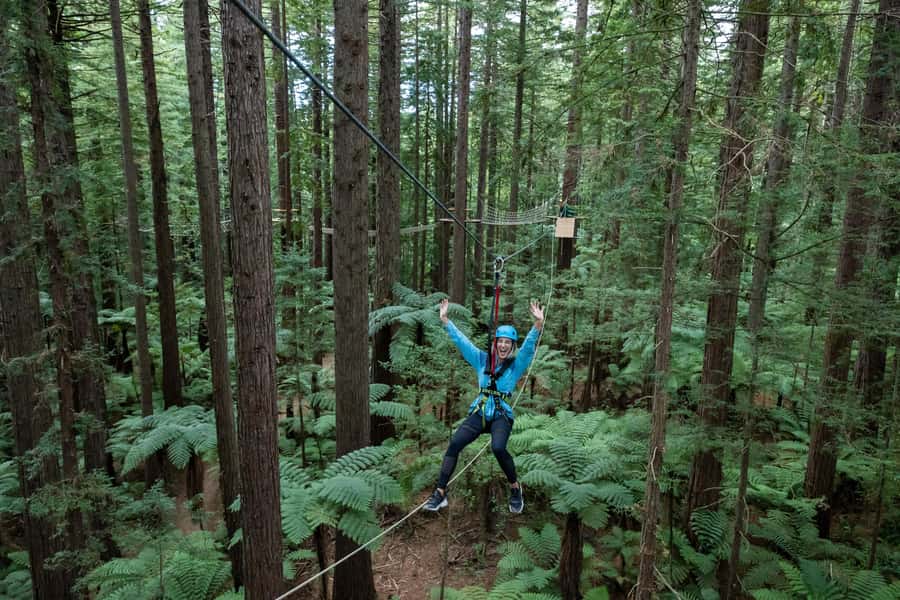 Rotorua: Redwoods Altitude, Nighttime Fast Pass, & Treewalk - Who should choose this activity